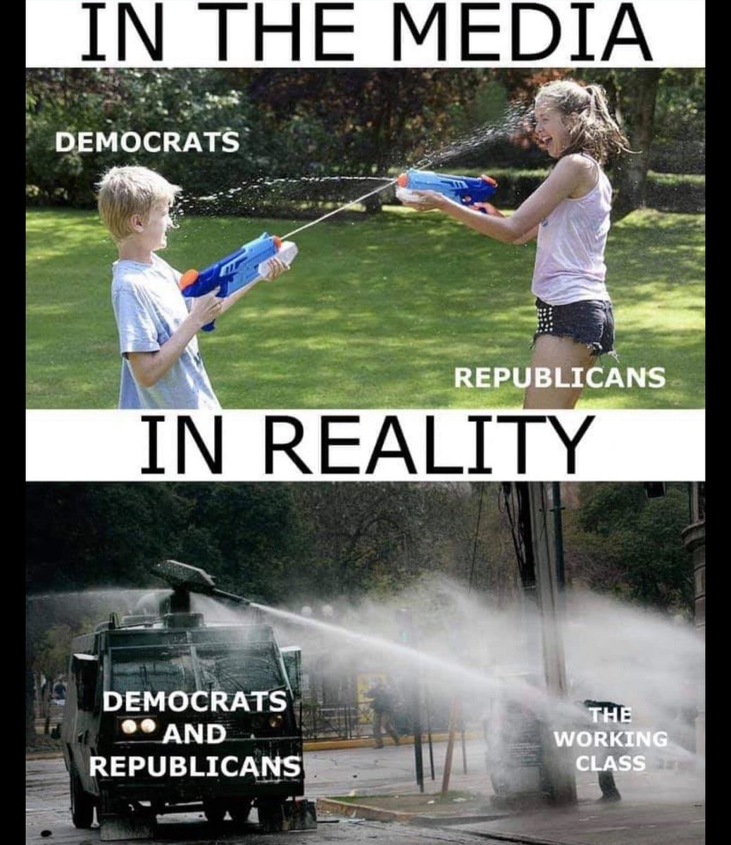 Declaration of Memes tweet media