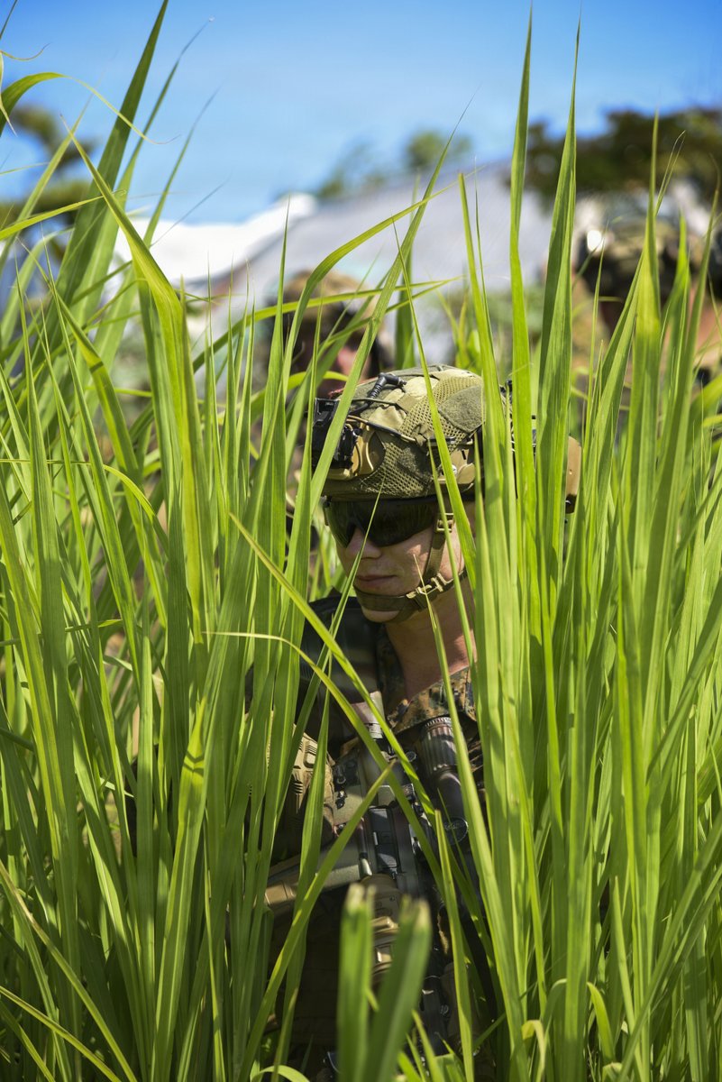 III MEF Marines tweet media