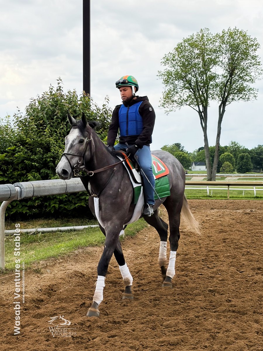 WV Stables tweet media