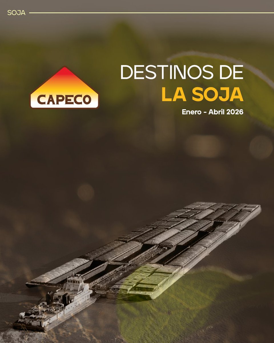 CAPECO tweet media