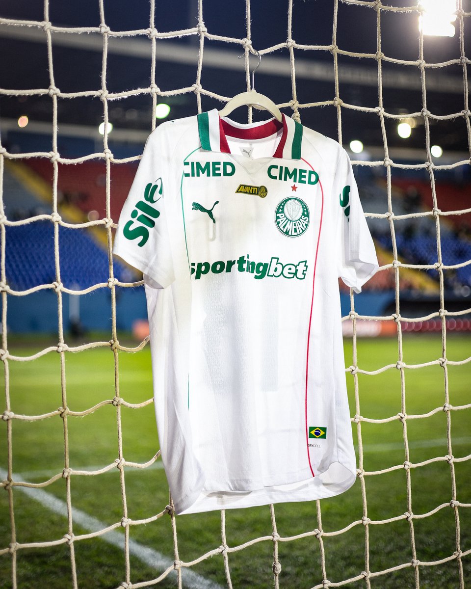 SE Palmeiras tweet media