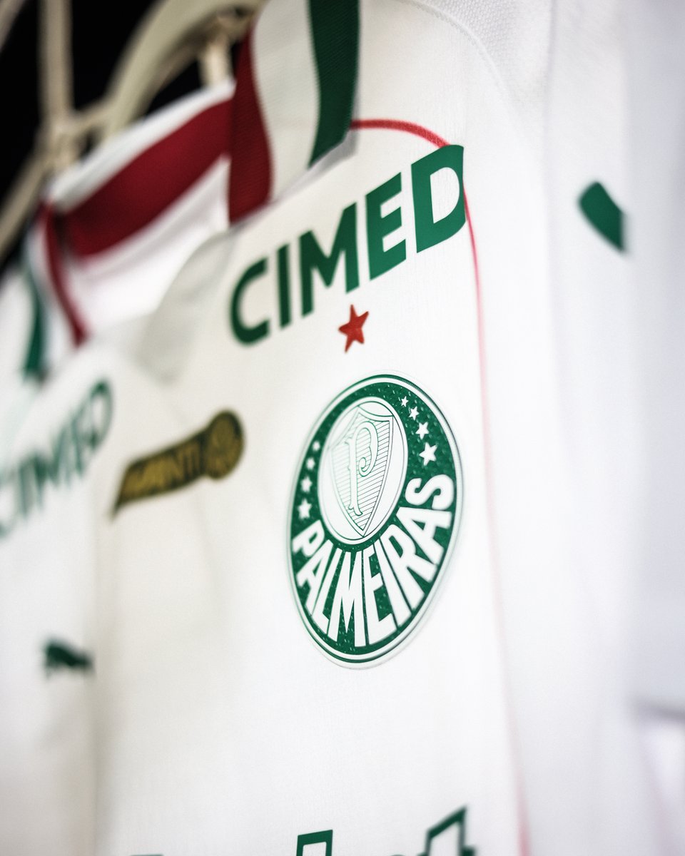 SE Palmeiras tweet media