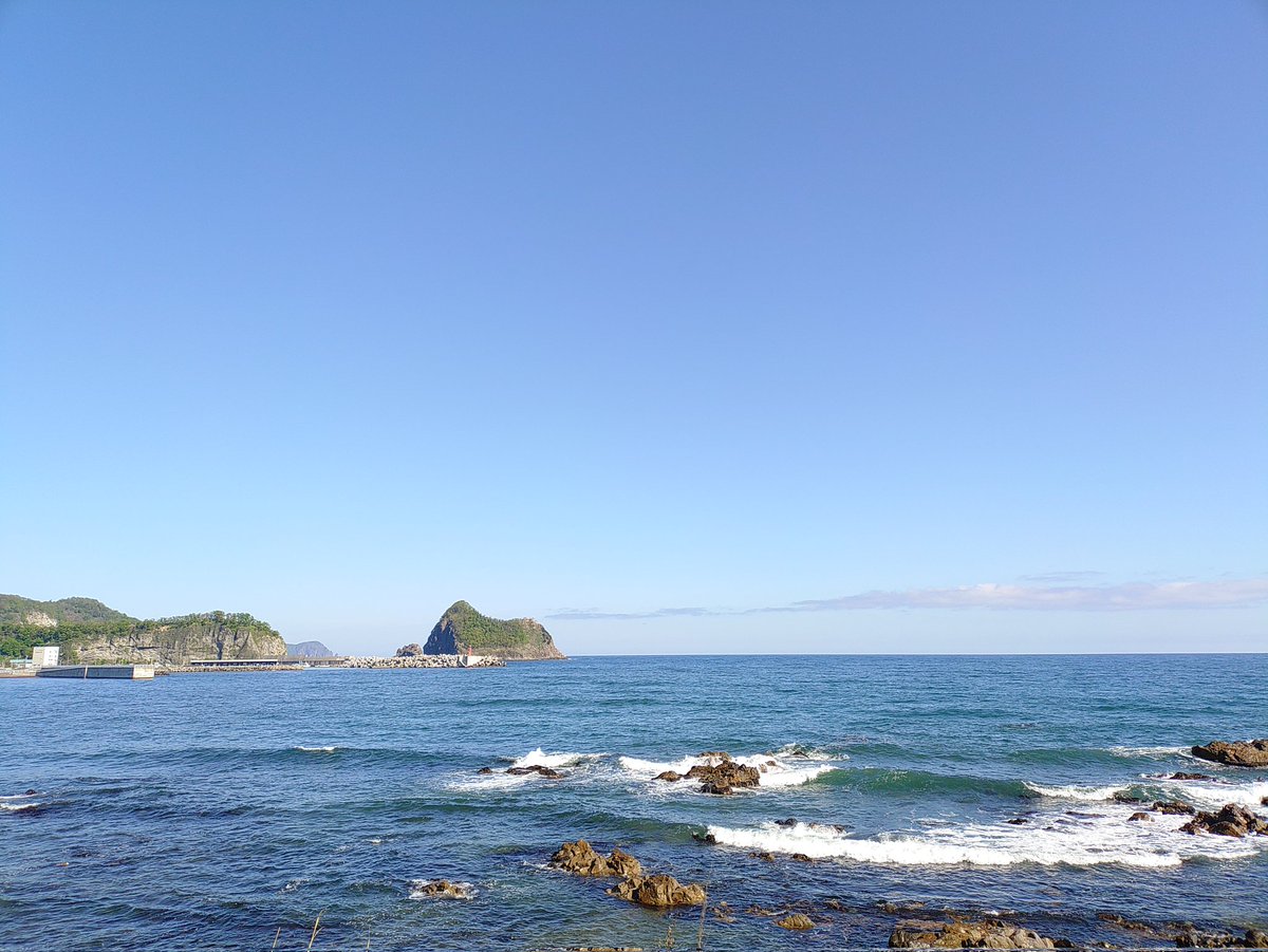 hide。 tweet media