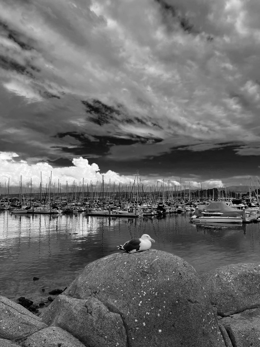 Mdx_zb's tweet photo. Loved Monterey…<3
This was second time visiting this place. https://t.co/9utNfjaT9r