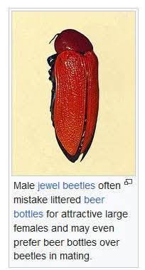 @patrician_tv beer bottles one shot insects its nothing new