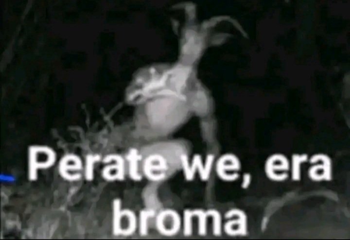 Nova tweet media
