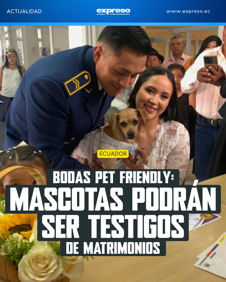 Diario Expreso tweet media