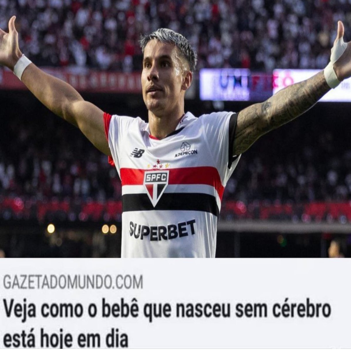 Rafael Emiliano AVANTE MEU TRICOLOR tweet media