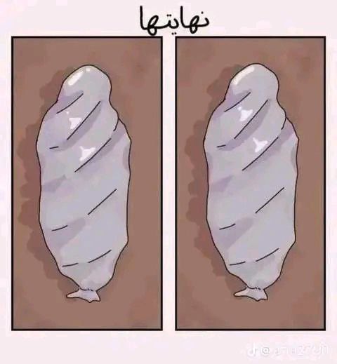 سجَنجَل | لا إله إلا الله. tweet media
