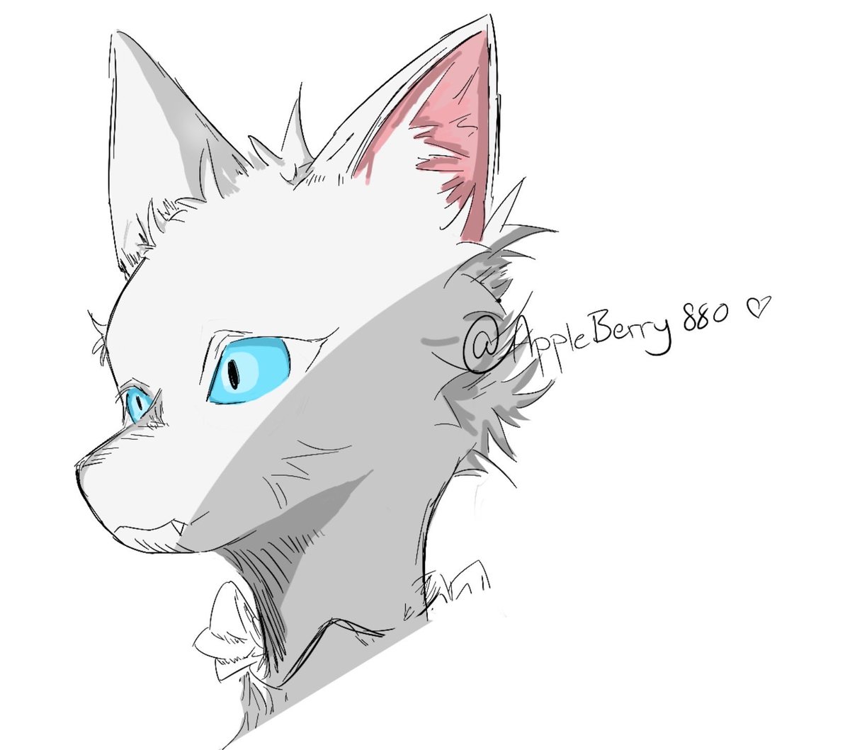 AppleBerry880's tweet photo. Cat cat cat <3333 
#furry https://t.co/d0tkUzEMtU