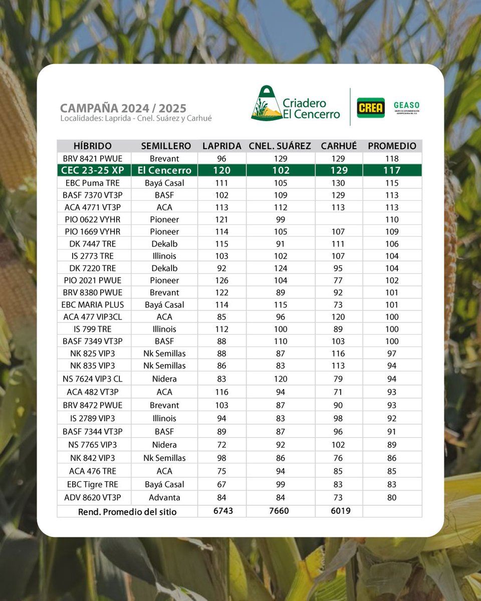CECencerro's tweet photo. #Ensayos comparativos de rendimiento de nuestro #Híbrido CEC 2325 XP en las zonas de Laprida, Coronel Suárez y Carhué 🌽

👉 Escribinos y te asesoramos con nuestro equipo #Técnico #Comercial para sembrarlo en la próxima campaña de #Maíz https://t.co/fGY4ekreU5
