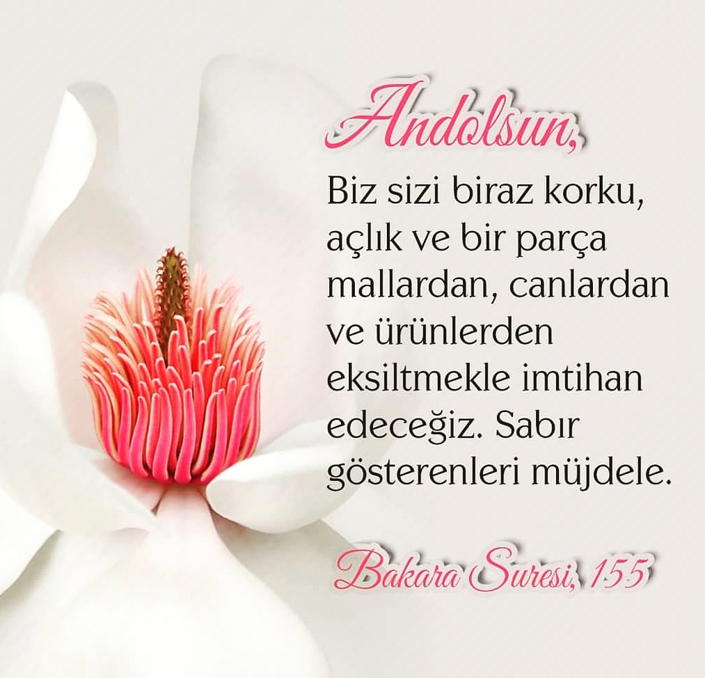 erdal73's tweet photo. https://t.co/3i8scdVFtt