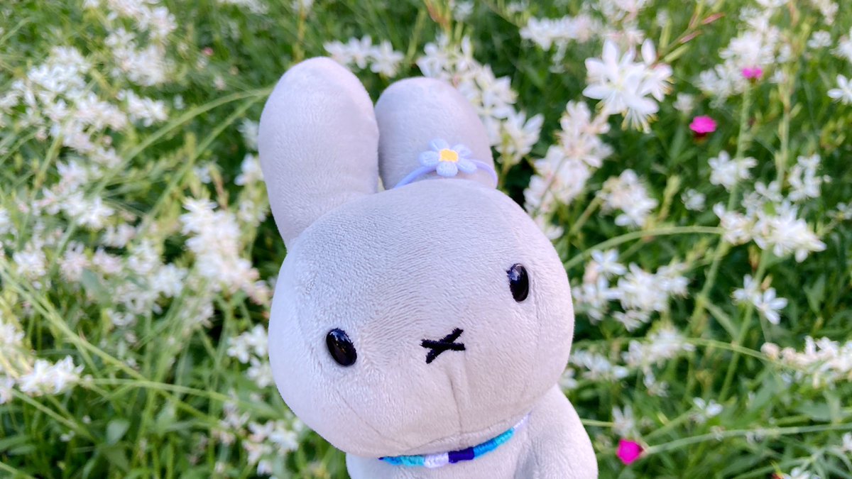 おはようございます☀