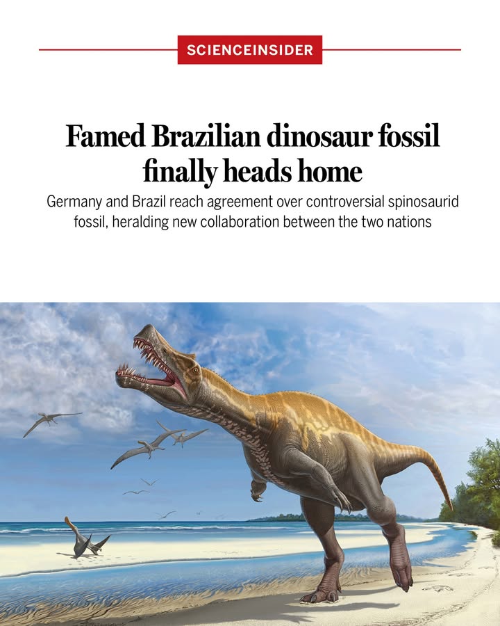 Science Magazine tweet media