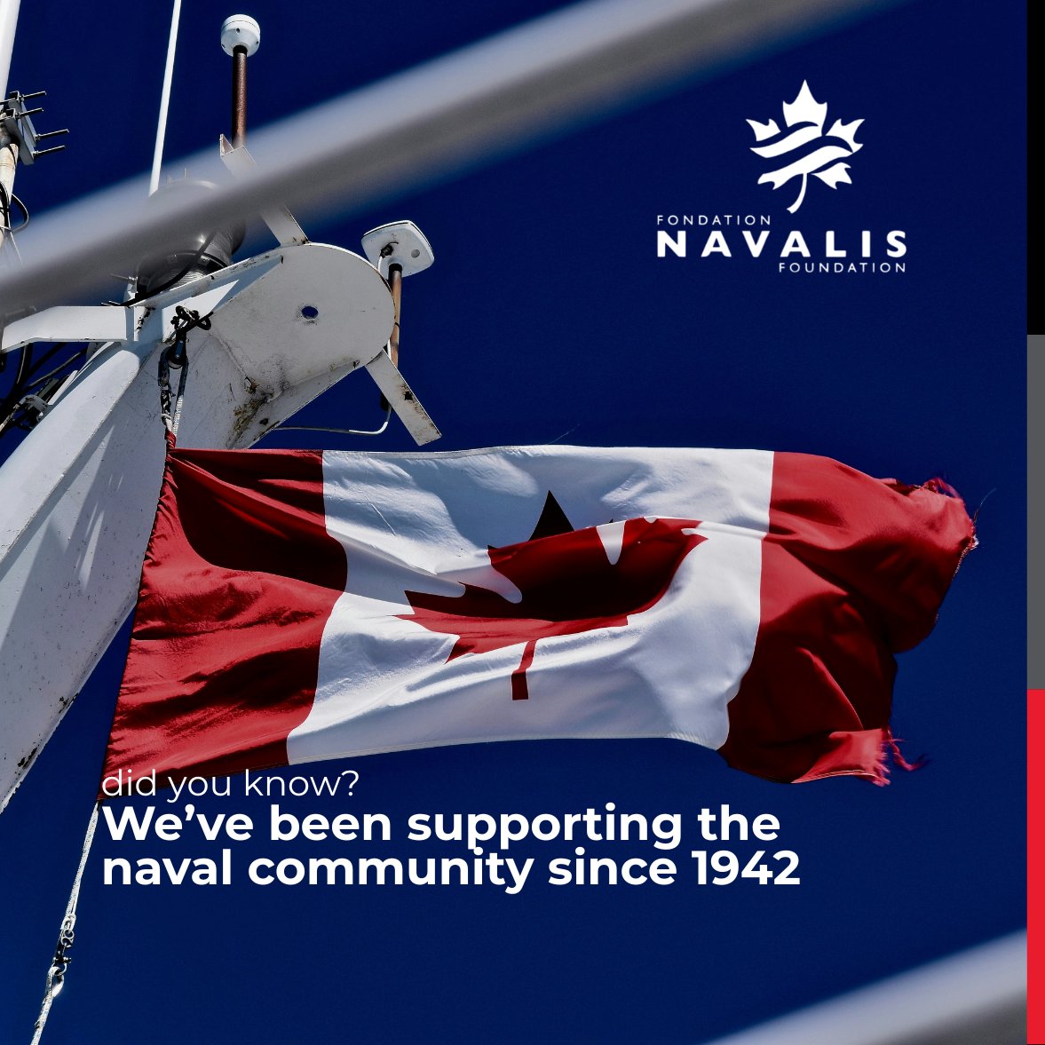 Navalis Foundation tweet media