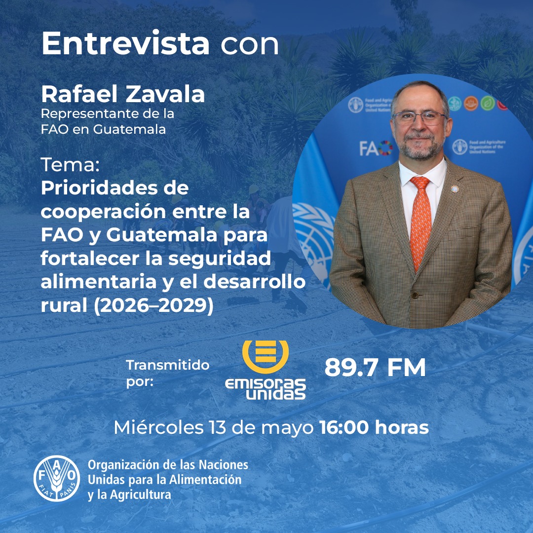 FAOGuatemala's tweet photo. #EntrevistaFAO

🗣️@Rafael_ZavalaG, Representante de la @FAO🇬🇹 conversará en @EmisorasUnidas  sobre el Marco de Programación de País 2026 -2029 firmado entre el @GuatemalaGob y la @FAO. 

👉 Hoy a las 16:00 horas. https://t.co/zhYyXqj8bt