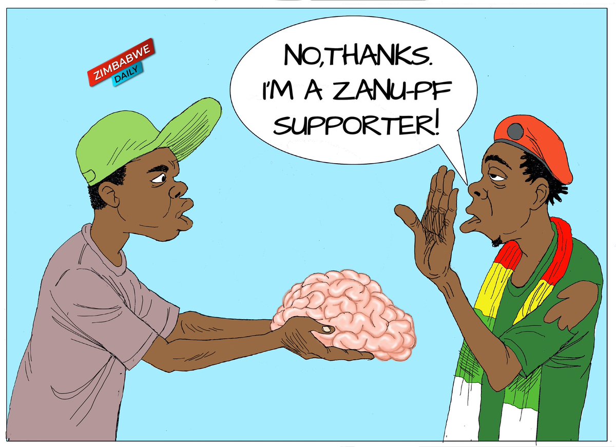 zimDaily tweet media
