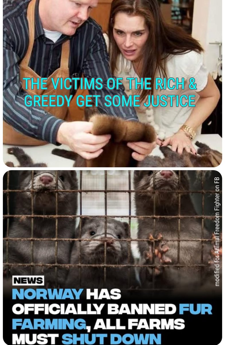 Lulu tweet media