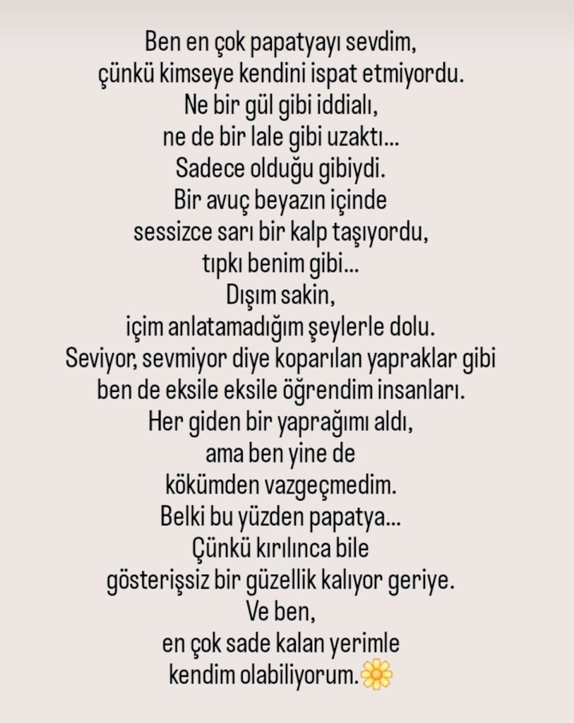 aytuull_'s tweet photo. 🌼 https://t.co/Mi9lzQWMPA