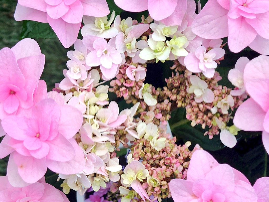 おはようございます🌞 今日もよろしくお願いします😊🌸 いつも