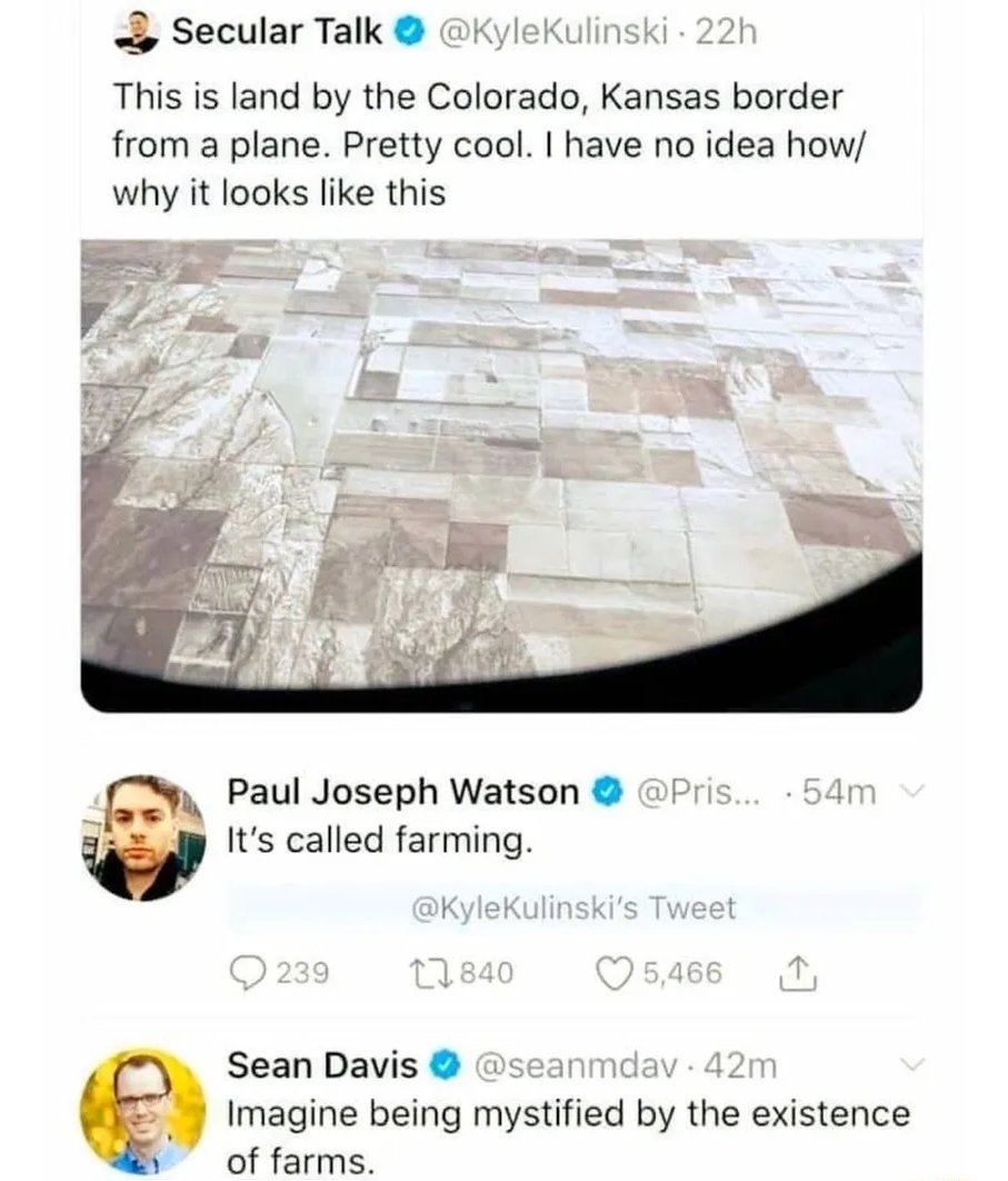 Giga Based Dad tweet media
