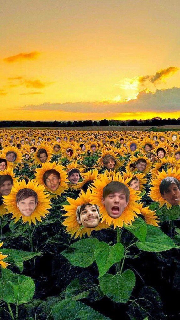 Ellie🍋🌻 tweet media