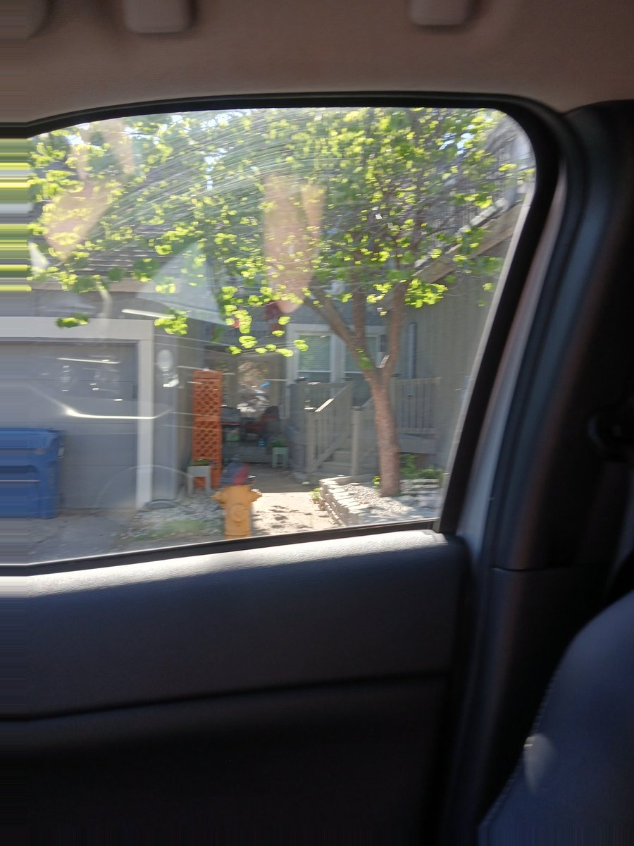 ThomasP1980's tweet photo. #fox4news nancy guthrie may be at Chloe Browns basement here Halsey street https://t.co/V6UghBHEjG