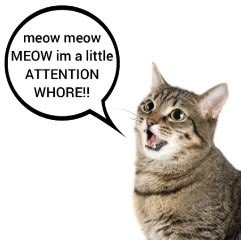 *°.•★William★•.°* shed tweet media