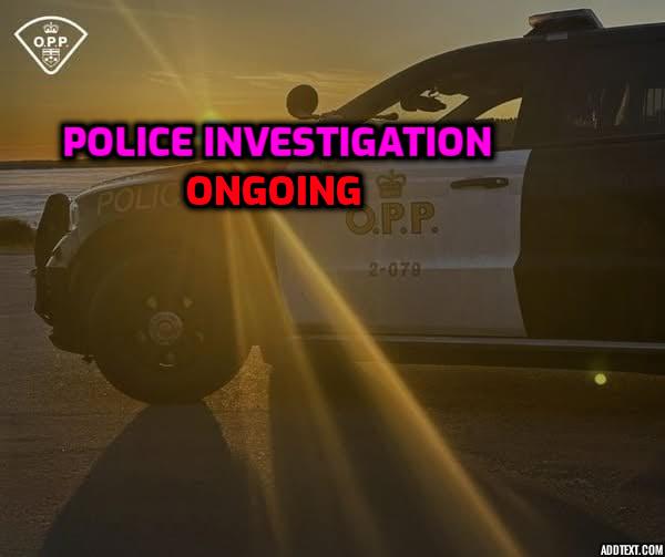 Barrie 411 News tweet media
