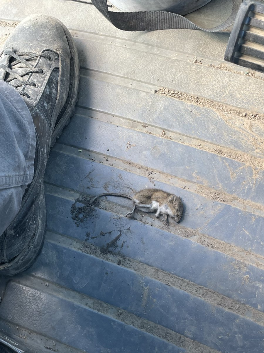 MinksEric's tweet photo. Found em, smell should be better now.  #plant26 https://t.co/ygZqgE3ZJP