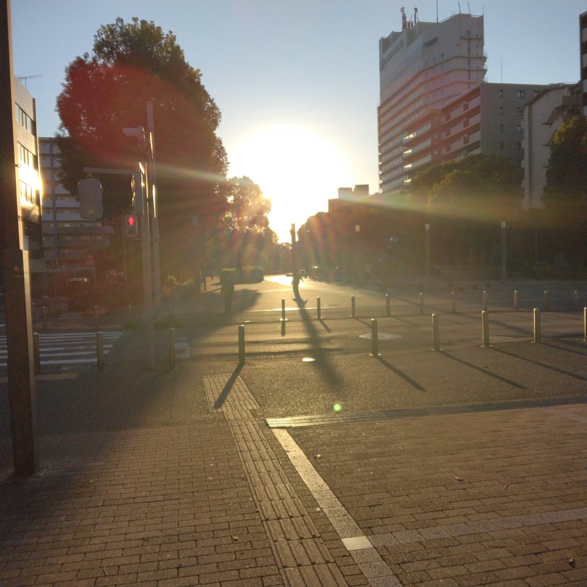 MLH147's tweet photo. 大通り公園
#伊勢佐木長者町 https://t.co/m5Qi0Kljwu