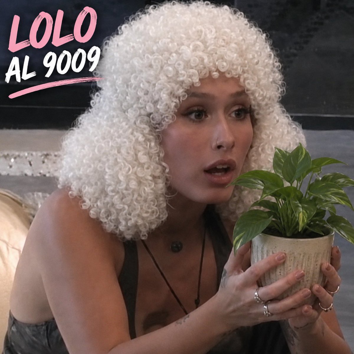 agustina pétalos 🐴 tweet media