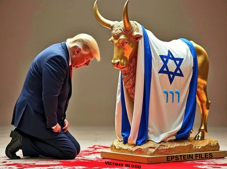 The Bible Report 🇺🇸 🇪🇨 tweet media