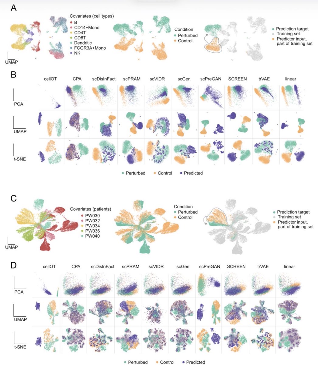razoralign's tweet photo. scArchon: a scalable benchmarking framework for assessing single-cell perturbation models https://t.co/Mil7WVjQ0m https://t.co/E5Z4zt8HGe