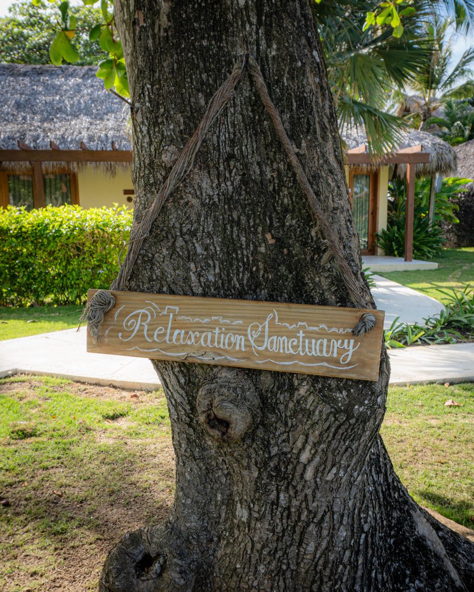ZoetryResorts's tweet photo. Surrounded by quiet space and thoughtful detail, the body begins to release what it has been holding.

At #ZoëtryAgua, relaxation is not pursued, it arrives: https://t.co/1zMNPJmUql https://t.co/vA5PFtlExm