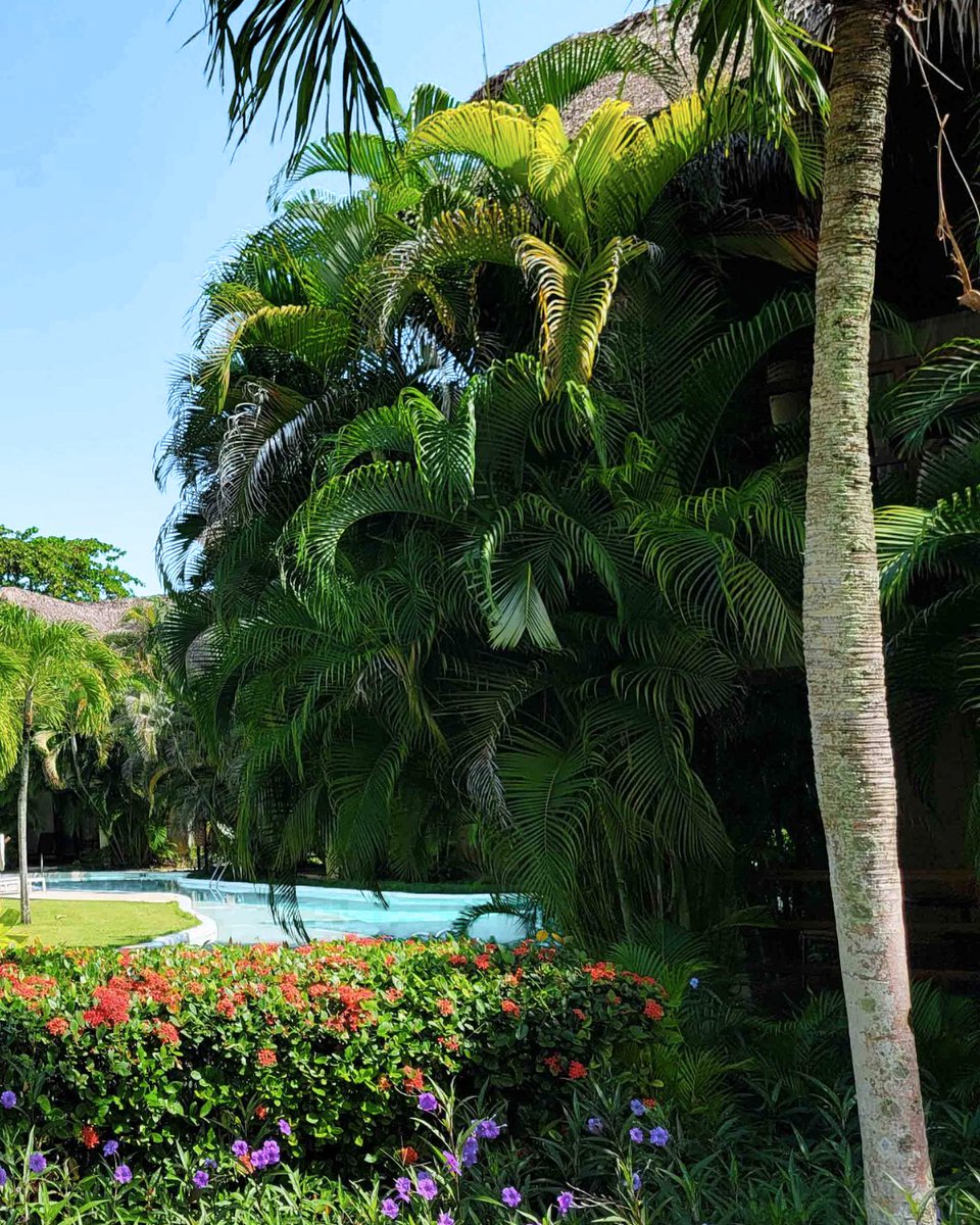 ZoetryResorts's tweet photo. Surrounded by quiet space and thoughtful detail, the body begins to release what it has been holding.

At #ZoëtryAgua, relaxation is not pursued, it arrives: https://t.co/1zMNPJmUql https://t.co/vA5PFtlExm