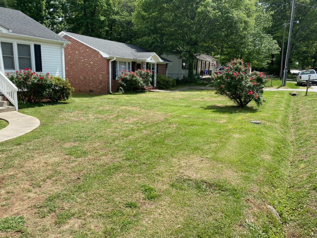 palmettolawn's tweet photo. Nothing beats that fresh-cut look on a sunny Carolina day. If your lawn is looking a little patchy after winter, now's the time to get it back in shape before summer heat sets in. Give us a call and we'll get you on the schedule.

#YardCare #SpringTreatment #SCBusiness #Palmet... https://t.co/DNQjJ5x1zY
