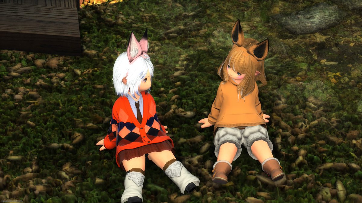 ぉとぅふ▫️ tweet media