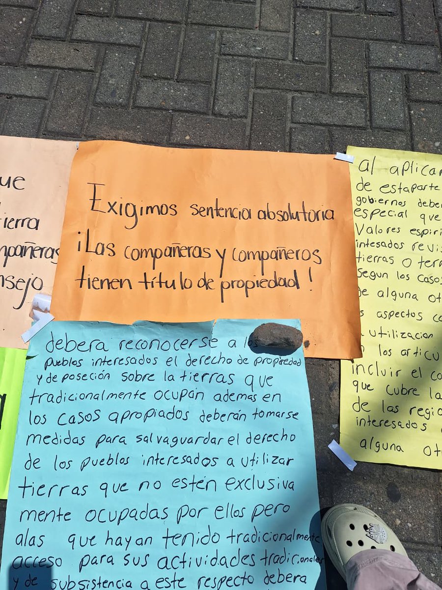Red Nacional de Defensoras de Derechos Humanos HN tweet media