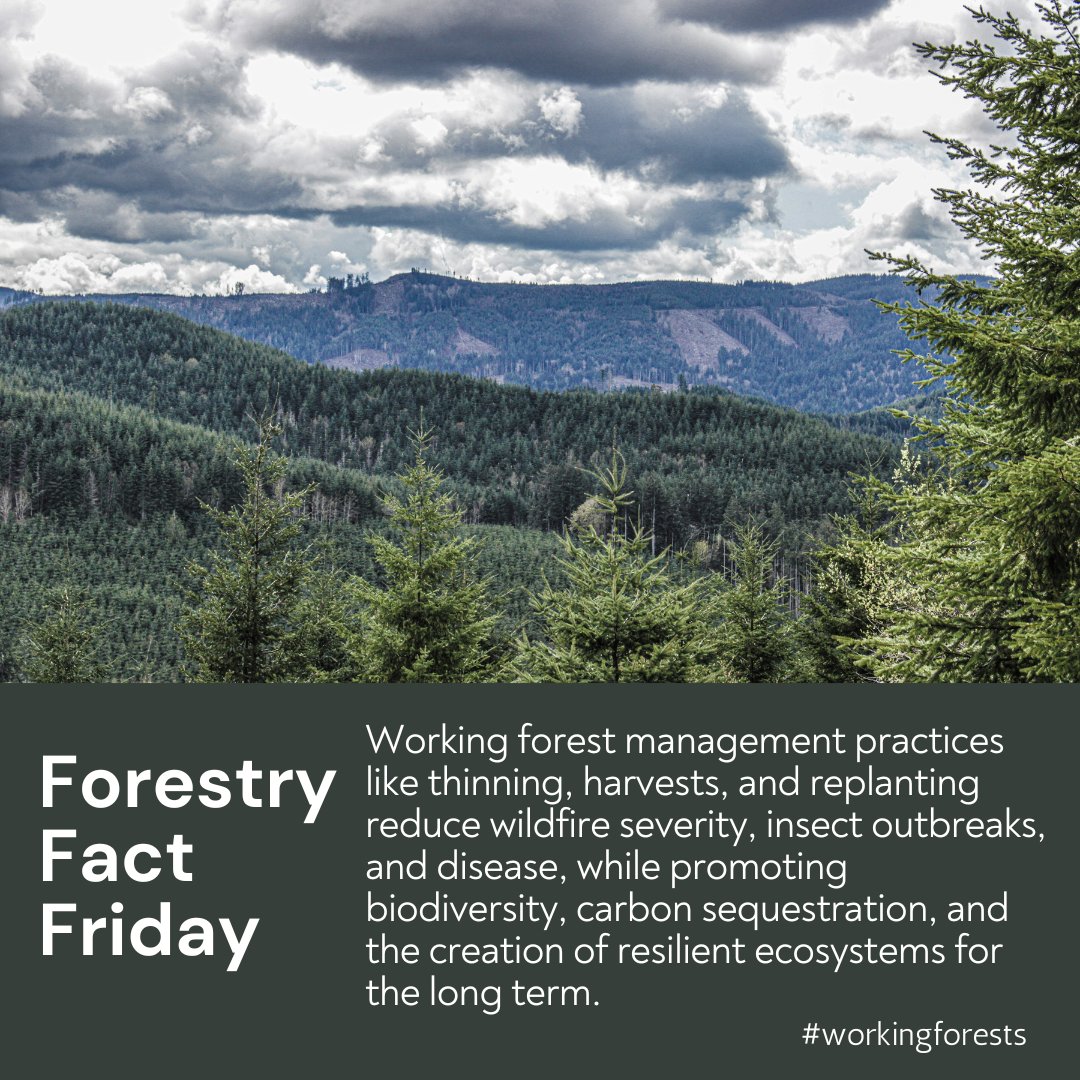 Washington's Working Forests (@WAWorkingForest) / Posts / X