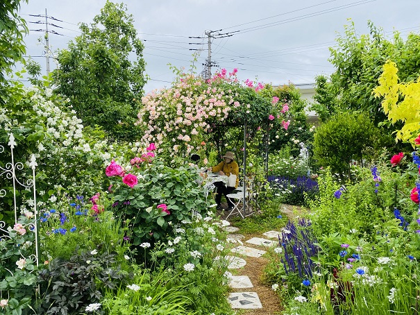 shinichiro09141's tweet photo. ガーデン四季 バラの咲く庭 イングリッシュガーデンを鑑賞　高松市

素敵なバラの咲く庭。
鮮やかな濃いピンクのバラ、恋結び。
白とピンクの可憐なバラ、春の舞。
パステルオレンジの可愛いバラ、モナリザなど。
バラ以外にいろんな花が咲いてるけどまとまりあって素敵です。
https://t.co/IBK84dTMPs https://t.co/kSJEWnS5KK