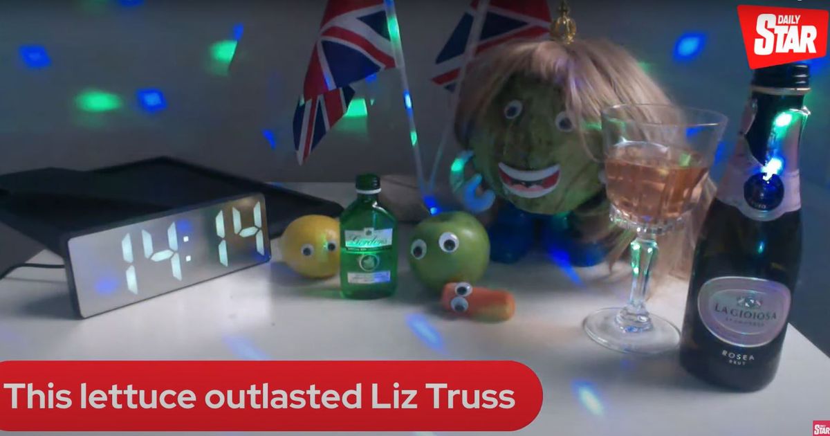 AScabbySausage's tweet photo. @Keir_Starmer No No No, this lettuce did more for this country by ousting Liz Truss, and its coming back to remove you aswell, this country hasnt got any better since you took over, i am still minimum wage yet my taxes get higher than every wage increase that you set out. All total bollocks https://t.co/AxtXAdY7hz
