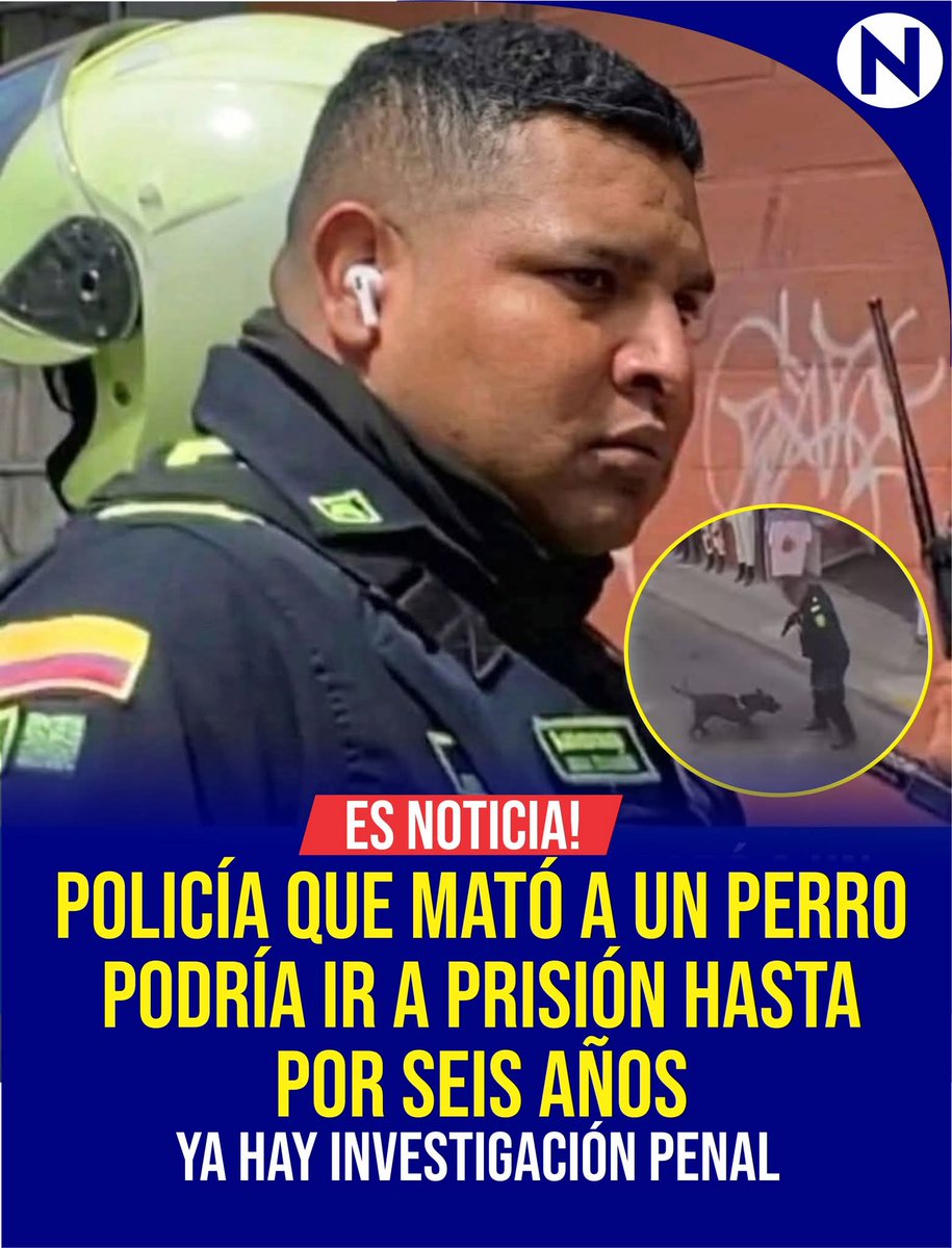 🇷🅾️🇲‌🅰️🇳‌ 🅾️🇸‌🇰‌🇾‌ tweet media
