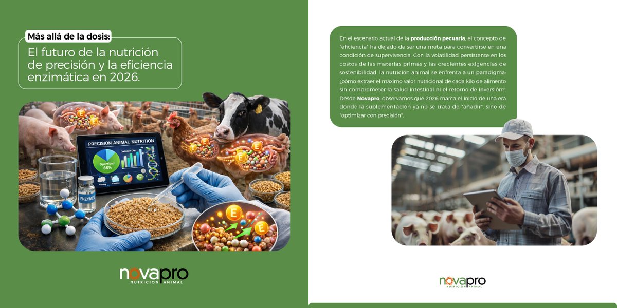 ChileNovapro's tweet photo. 👉 2026 marca una nueva era en nutrición animal: precisión, eficiencia enzimática y máximo valor por kilo de alimento. #NutriciónAnimal https://t.co/lCS9Dtqhh7