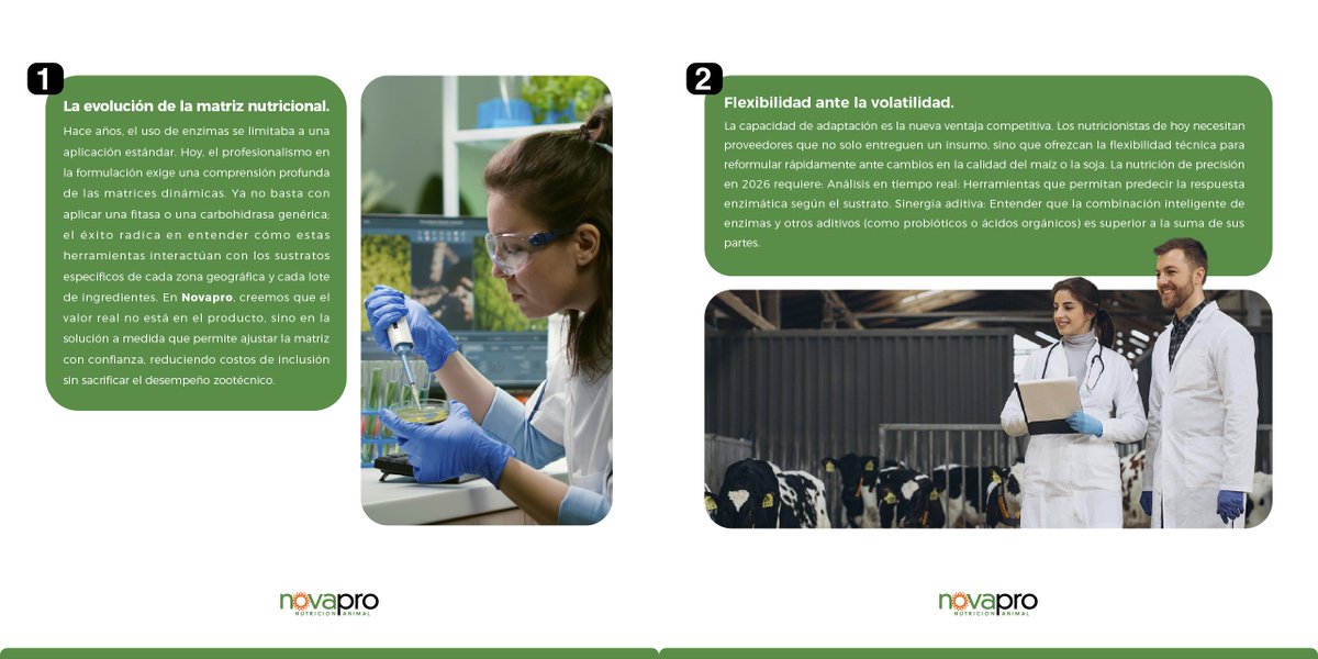 ChileNovapro's tweet photo. 👉 2026 marca una nueva era en nutrición animal: precisión, eficiencia enzimática y máximo valor por kilo de alimento. #NutriciónAnimal https://t.co/lCS9Dtqhh7