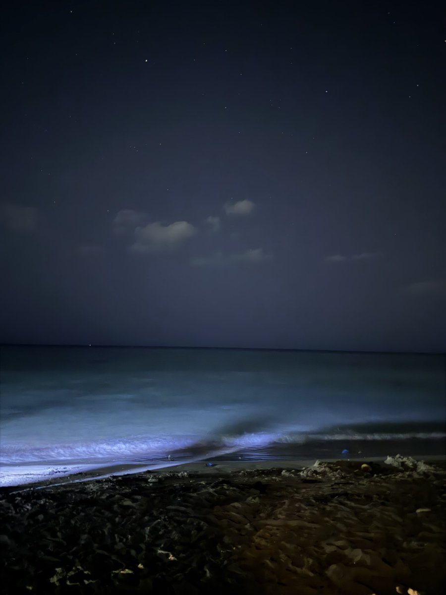 fairy__tale99's tweet photo. 🌌✨🌊 https://t.co/UcM78fo2Rs