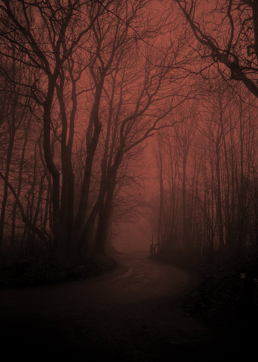 zosphotos's tweet photo. One of my favourite photos in Orange https://t.co/sPVfIUzIFc