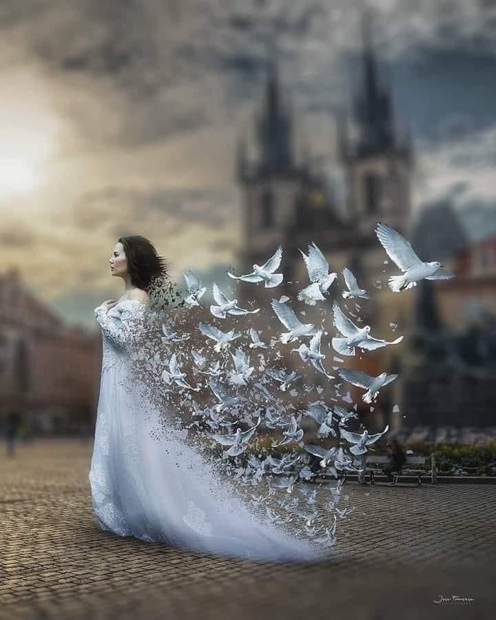 💜 nahed 💜 tweet media