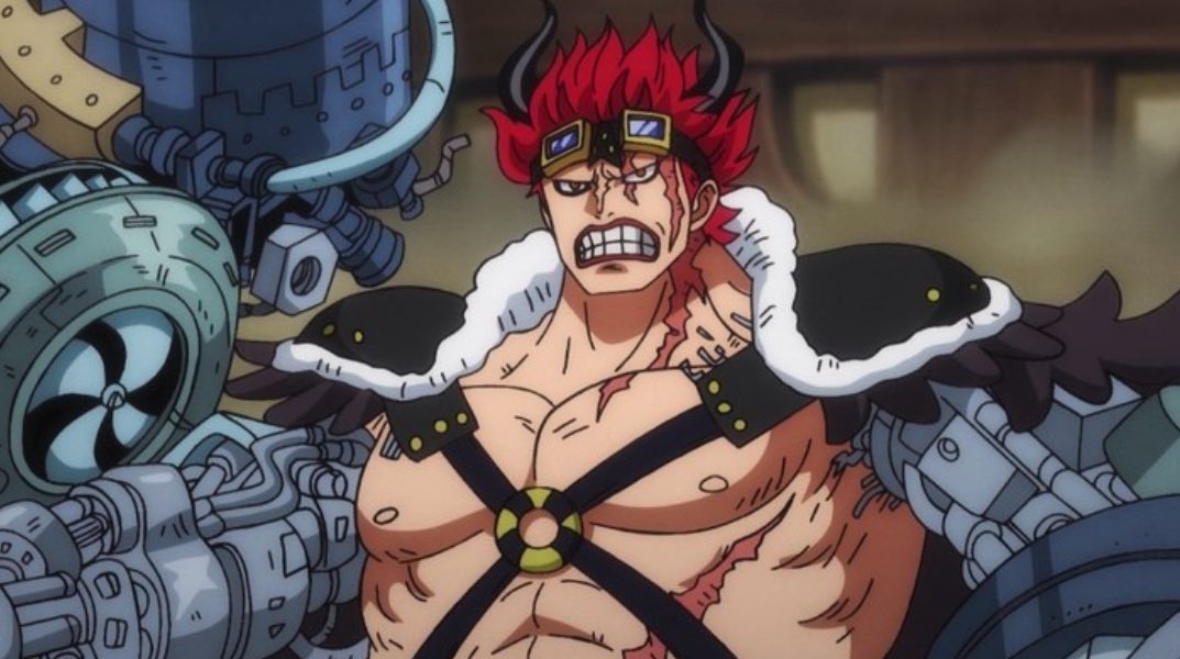 law ⚓️ | impel down tweet media
