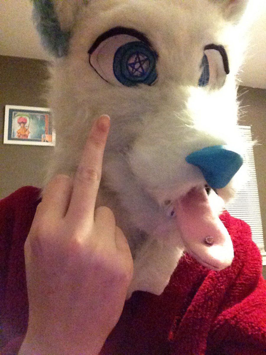 HYSTERICBODY's tweet photo. This is a crazyyyy long shot, but this was the first fursuit I made, Darude. I sold him on Furbuy in 2014 for $100. I’ve always wondered where he ended up and if he is still around. Hoping this post finds his owner somehow. I’d love to see photos. https://t.co/7zIFcTnYyA